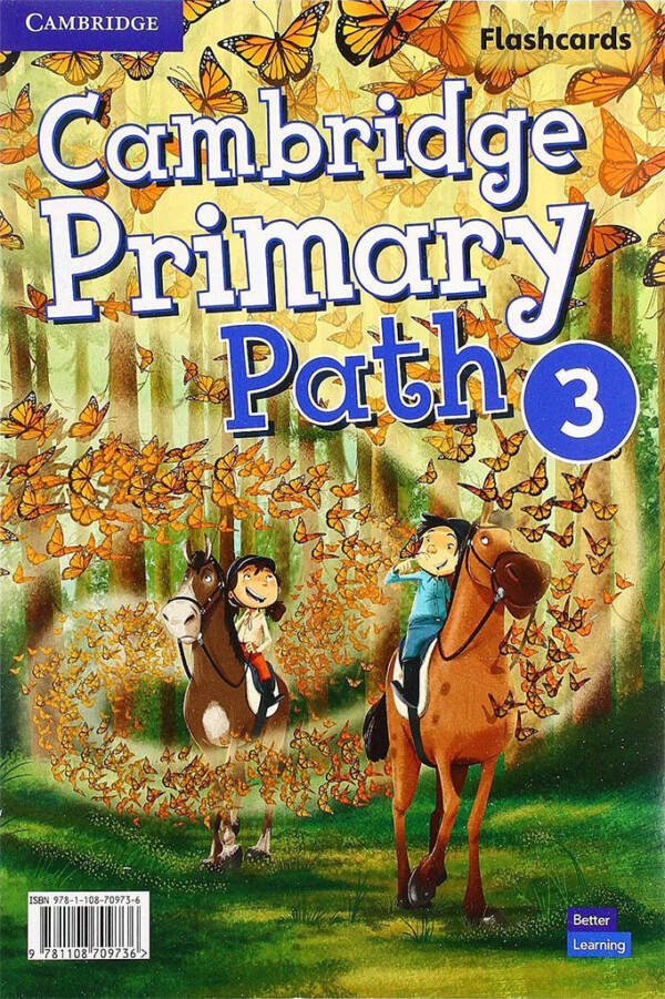 Cambridge Primary Path - Flashcards - Level 3