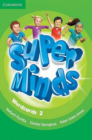 Super Minds - Wordcards (Pack of 90) - Level 2