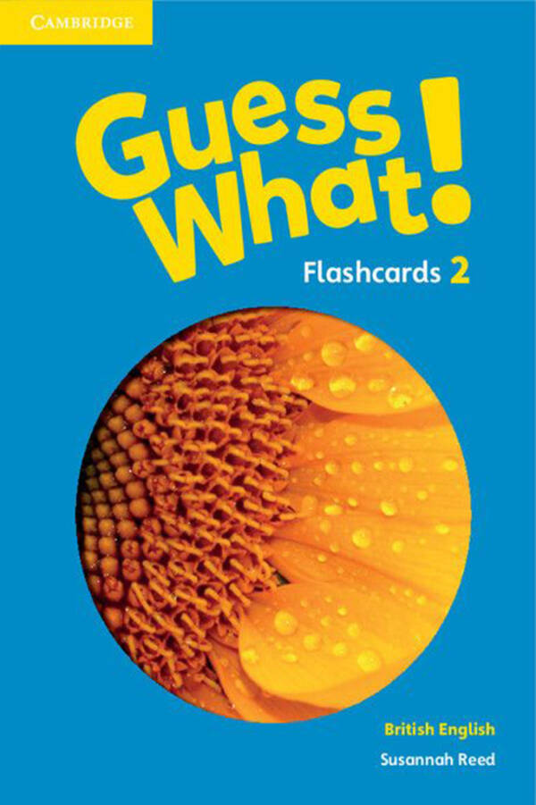 Guess What - Flash Cards - Level 2