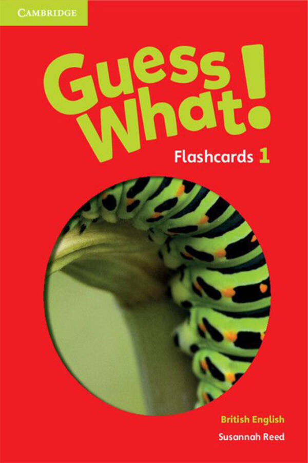 Guess What - Flashcards - Level 1