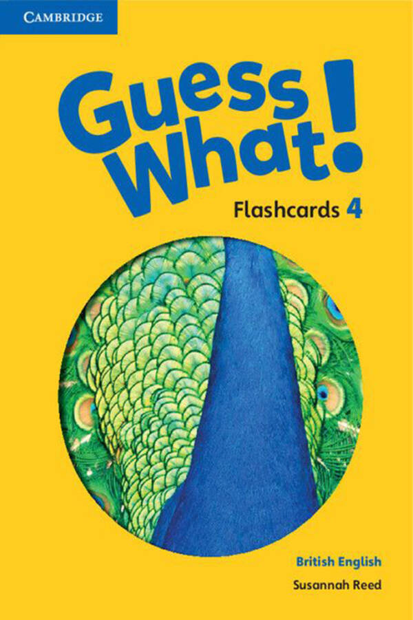 Guess What - Flashcards - Level 4